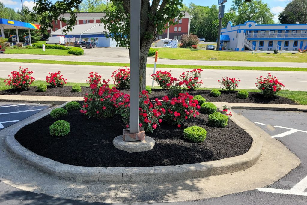 Miami Valley LawnScapes