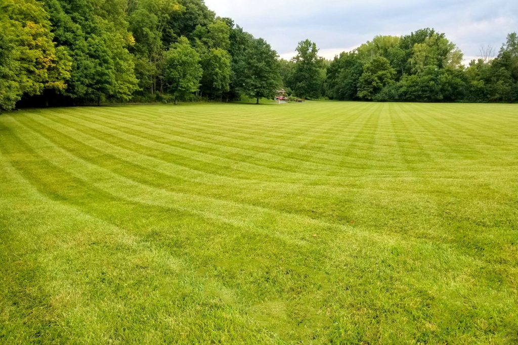 Miami Valley LawnScapes